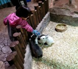 -宝燕乐园(闵行旗舰店)