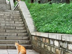 -四门塔风景区