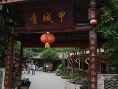 -青城甲(青城山店)