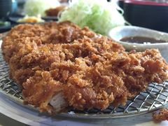 芝士猪排饭-犀牛家猪排