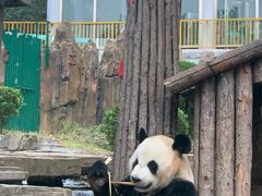 -大连森林动物园