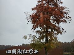-四明湖