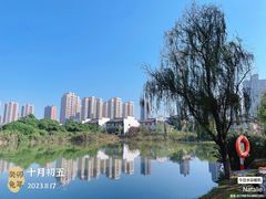 -洋湖国家湿地公园