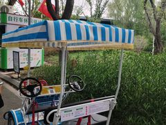 -昆山城市生态森林公园