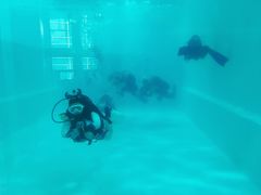 -上海潜殿潜水中心