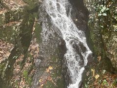 -藏龙百瀑风景区