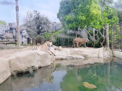-常州淹城野生动物世界