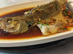 -桃花源中餐厅(金茂豪华精选酒店)