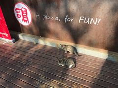 -UNI UNI(环亚凯瑟琳店)