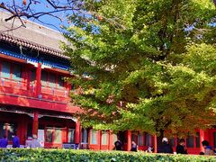 -北京石刻艺术博物馆(五塔寺)
