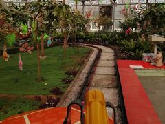 游乐设施-南宫五洲植物乐园