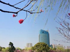 -无锡梅园公园