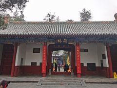 -关林