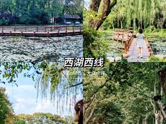 -杭州奥体中心-体育场