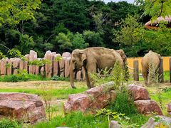 -沈阳森林动物园