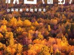 -汤旺河林海奇石景区