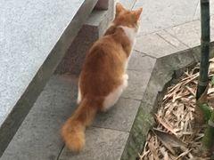 -晓港公园
