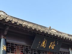 -梅园