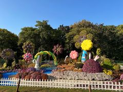 -上海共青森林公园