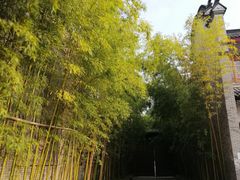 -龙潭水乡