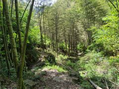 -黄山太平湖风景区