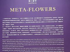 -德基艺术博物馆