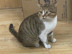 -老味茶屋(川沙老街店)