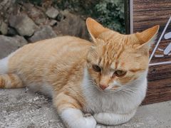 -东天目山风景区