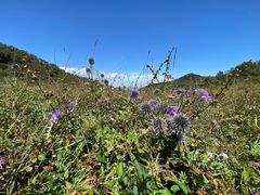 -白草畔自然风景区