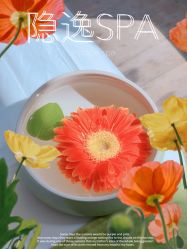 点击看大图 -梵隐SPA