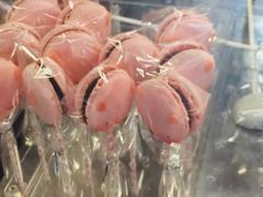 -WHEN PIGS FLY当猪飞