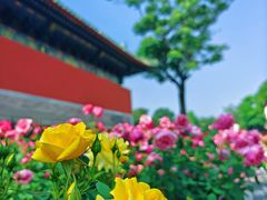 -北京古代建筑博物馆