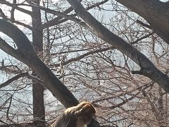 -崂山巨峰游览区