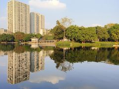 -荔湾湖公园