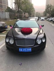 -蚂蚁婚车