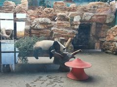 -石家庄市动物园