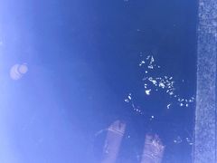 -春晖园度假酒店温泉