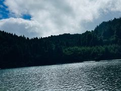 -武陵山森林公园
