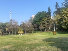 -厦门悦华酒店