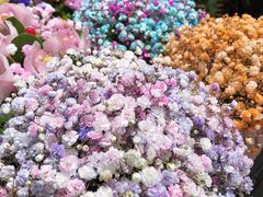 -双季花艺园艺市场(浦东店)
