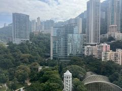 -尼依格罗香港美利酒店