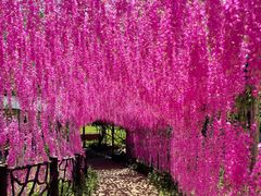 -黄金沟旅游风景区