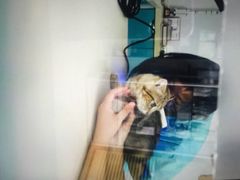 北京康乐宝动物医院-康乐宝动物医院