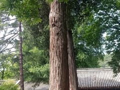 -潭柘寺景区