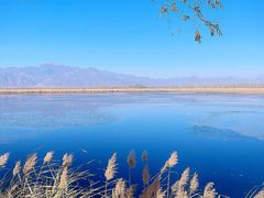 -野鸭湖国家湿地公园