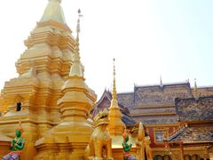 -西双版纳傣族园