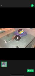 -蓝色海林婴幼儿水育馆(新辰里学清路店)