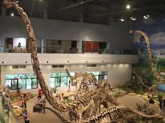 -自贡恐龙博物馆