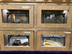 -Zoolung Zoolung动物主题公园(海信广场店)