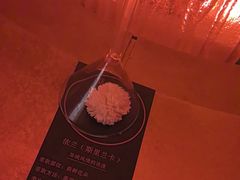 -舒小悦·舒养SPA·古法推拿(光环中心店)